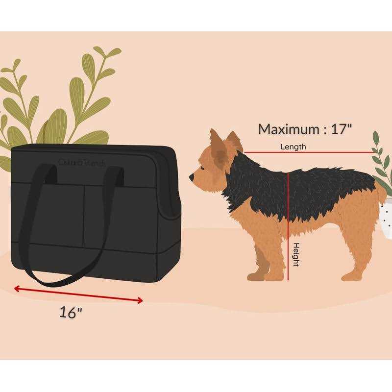 Pet Tote Bag for Small Dogs and Cats W643