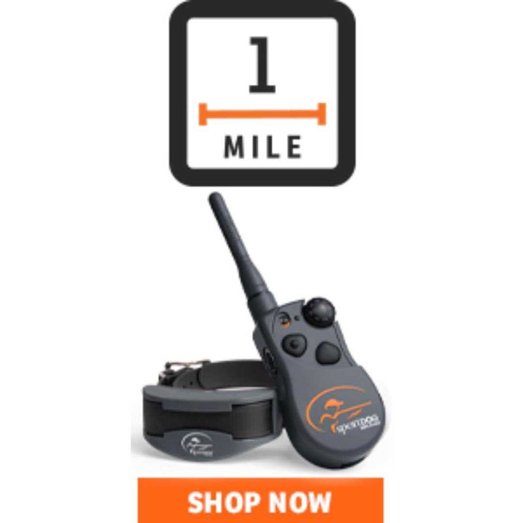 SportDOG SportHunter 825X O5604