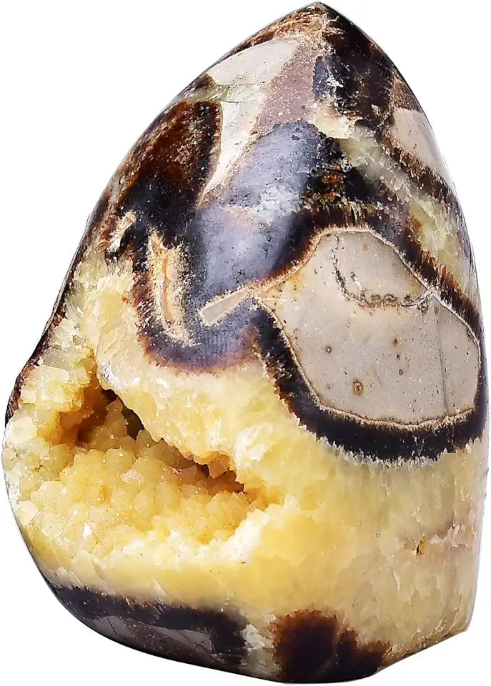 Polished Septarian Geode Crystal Stone 1.3-1.7 Pound M5661