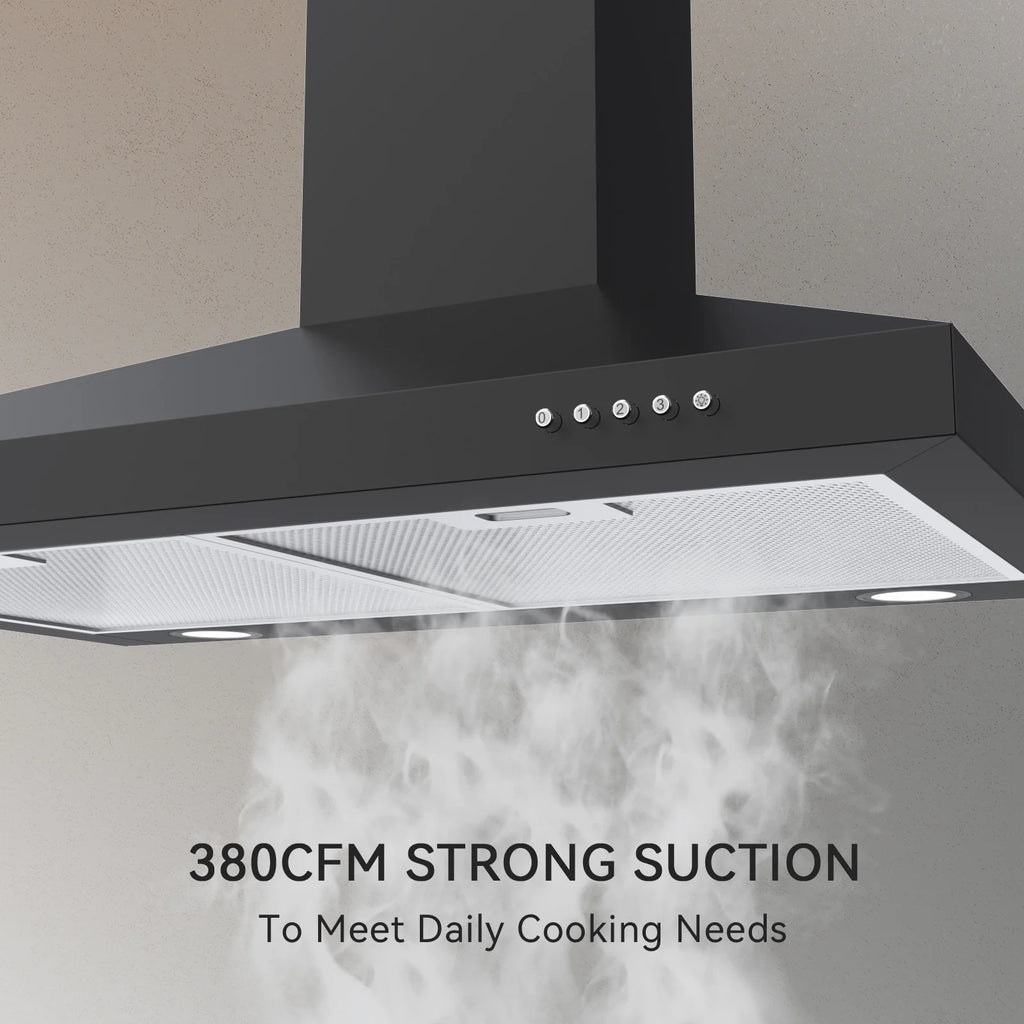 30 inch Wall Mount Range Hood with Charcoal Filter Y300991