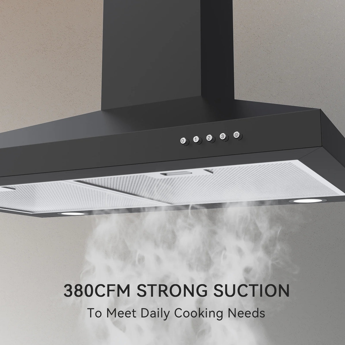 30 inch Wall Mount Range Hood with Charcoal Filter Y300991