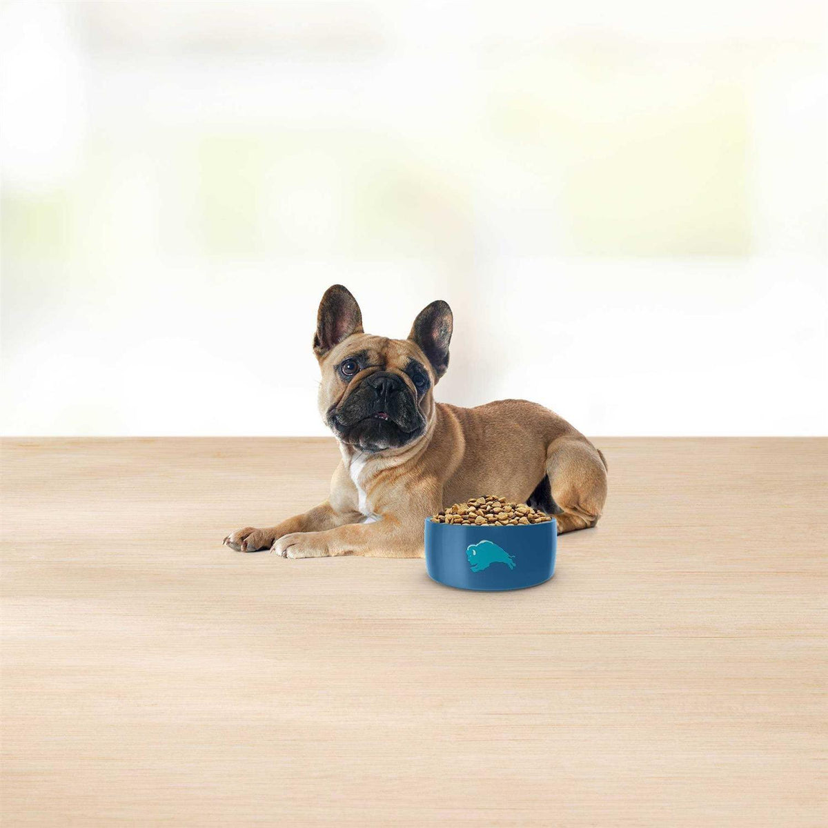 Grain Free Lamb & Potato Small Breed Dry Dog Food E6316