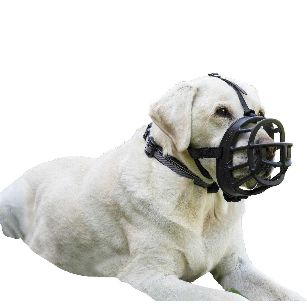 Dog Muzzle H6915
