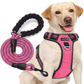 Adjustable Reflective Oxford Dog Harness with 5ft Dog Leash C421927