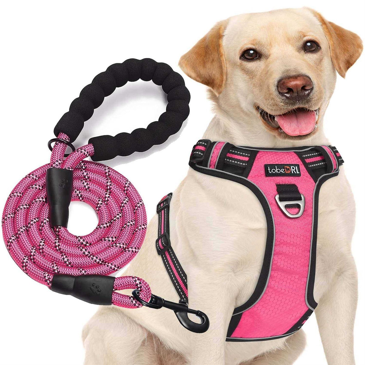 Adjustable Reflective Oxford Dog Harness with 5ft Dog Leash C421927