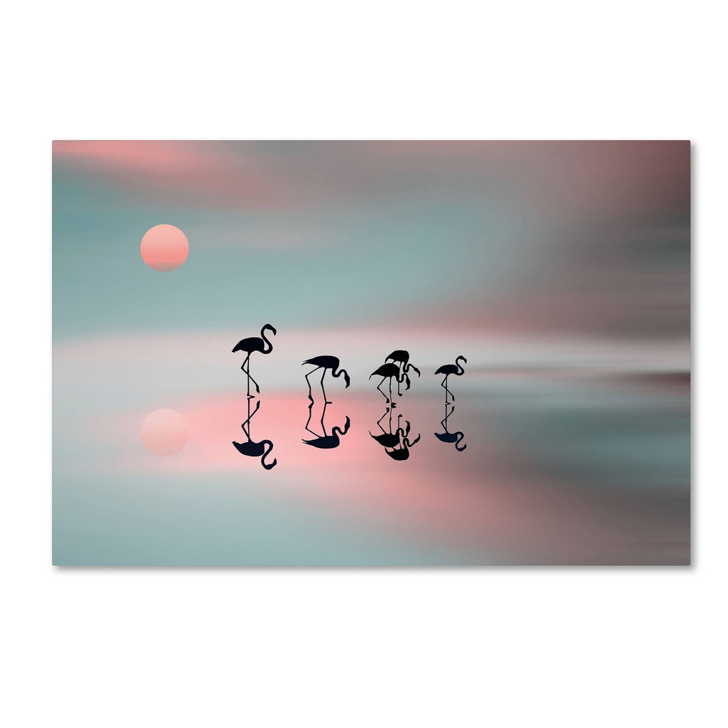 Flamingos Canvas Art U9205