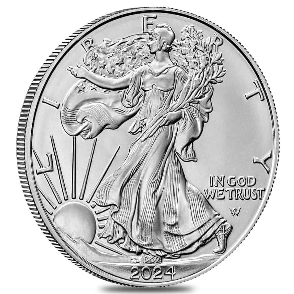 2024 1 oz Silver American Eagle $1 Coin BU T876631