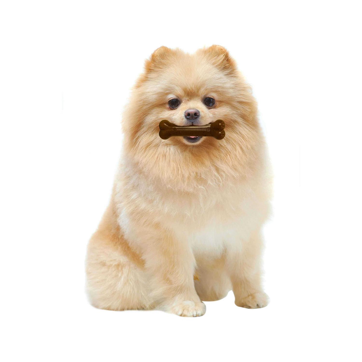 Chicken Flavor Puppy Chew Ring Bone Petite O7205