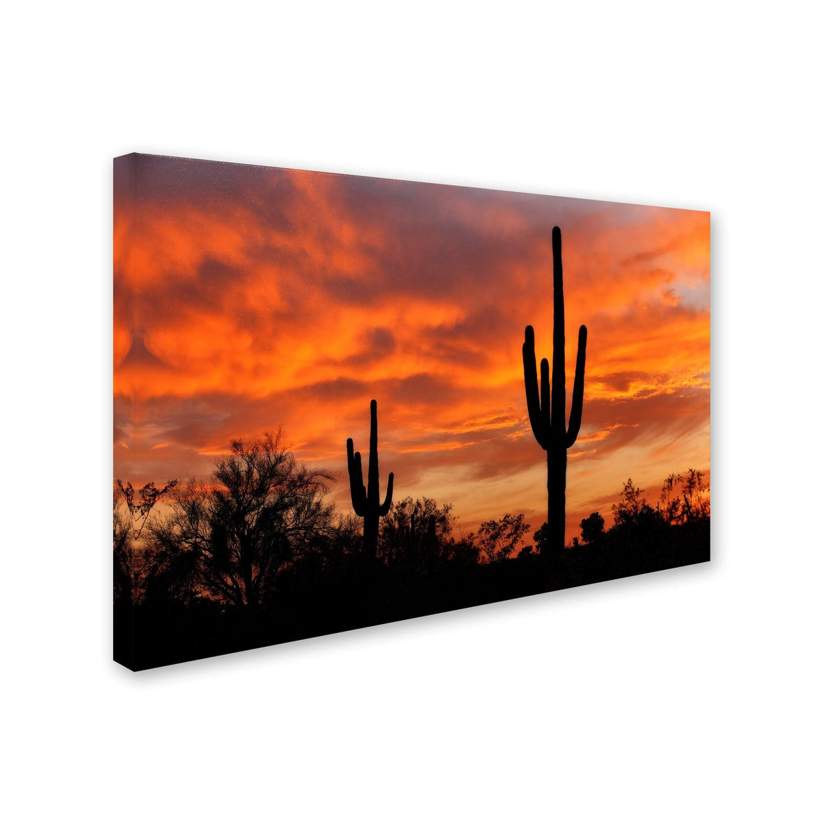 Canvas Art A5510