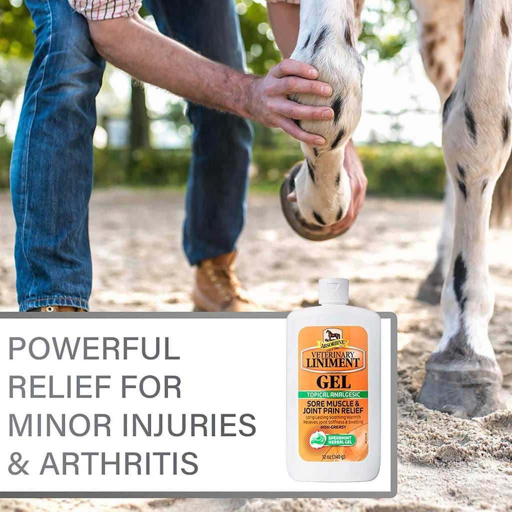 Veterinary Liniment Gel M33886