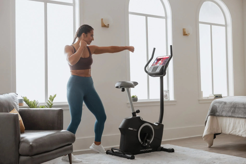 Recumbent Exercise Bike with Display and Tablet Holder K539655