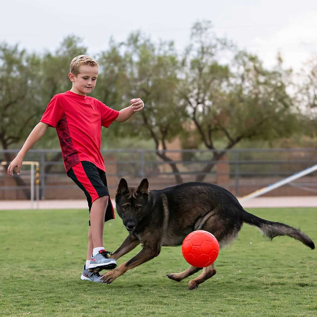 Soccer Ball D83571