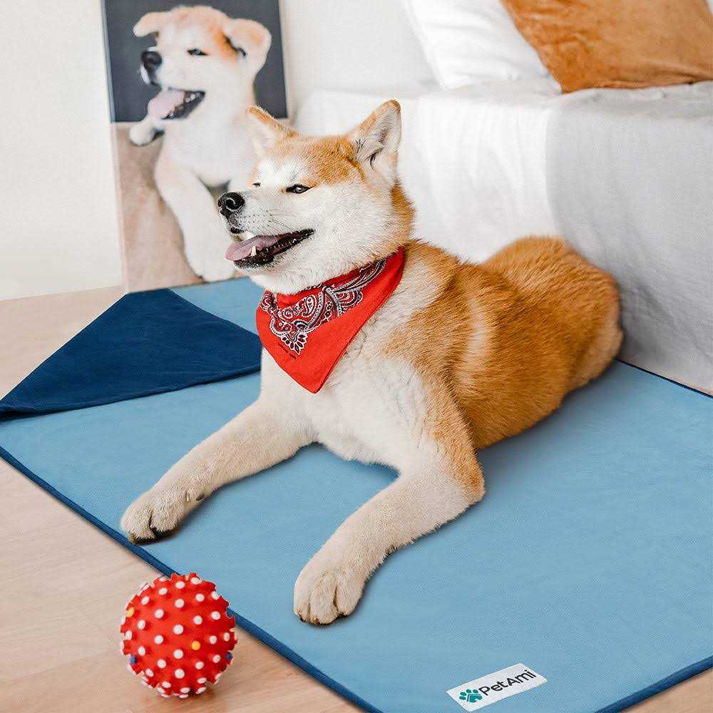 Waterproof Dog Cat Couch Cover R241061
