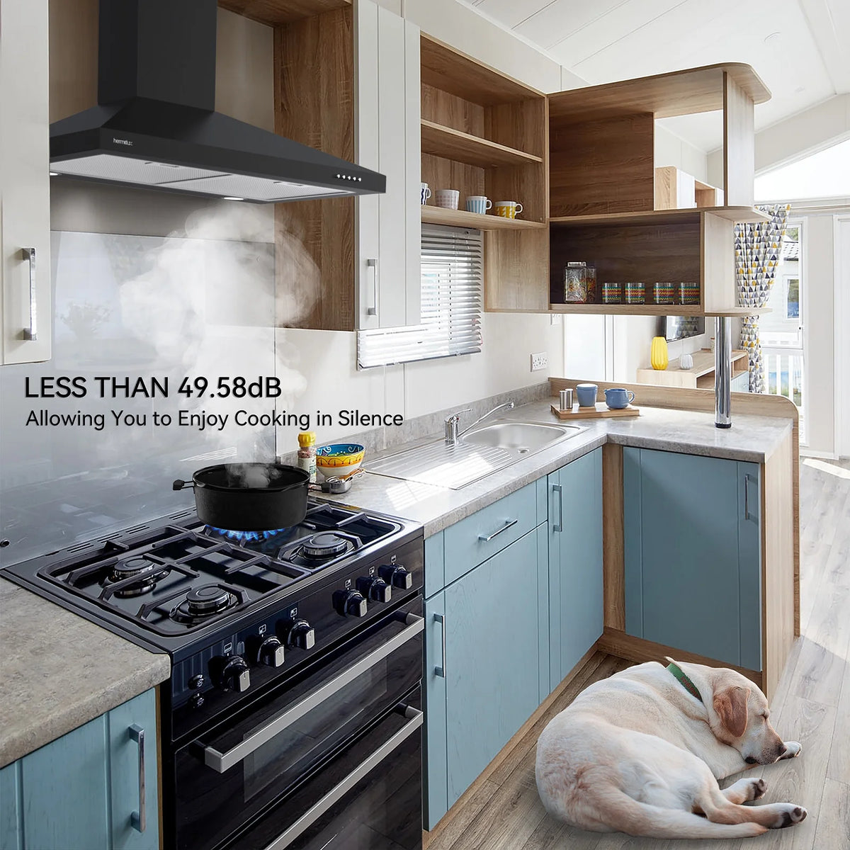 30 inch Wall Mount Range Hood with Charcoal Filter Y300991