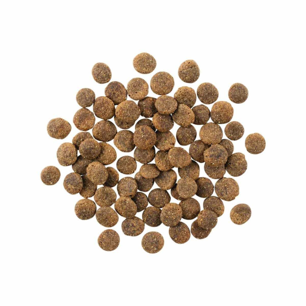 Limited Ingredient Lamb Grain-Free Dry Dog Food T307