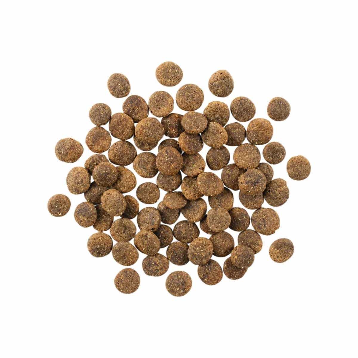 Limited Ingredient Lamb Grain-Free Dry Dog Food T307