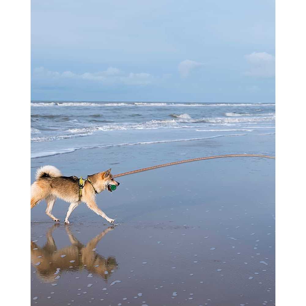 Long Dog Leash Reflective Threads Check Cord X80597
