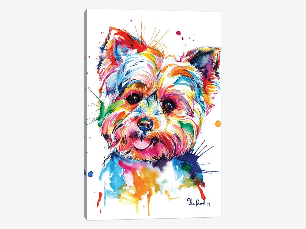 Canvas Wall Decor Prints Yorkie O401