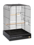 Black Parrot Cage Z9429
