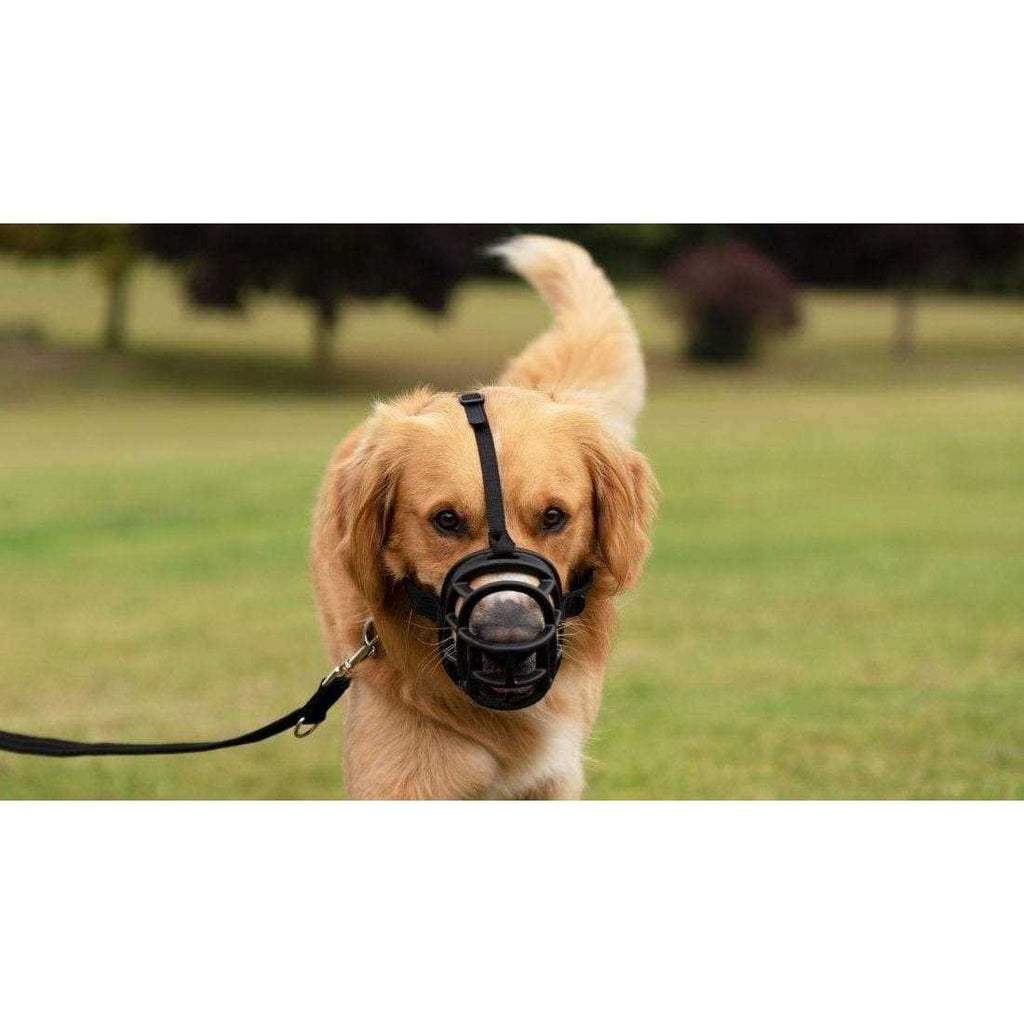 Dog Muzzle H6915