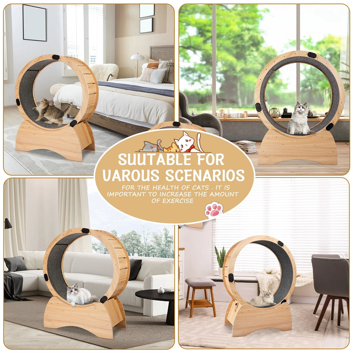 Cat Exercise Wheel U2111