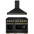 48 In. Gas Range and Range Hood in Black Stainless Steel L84963