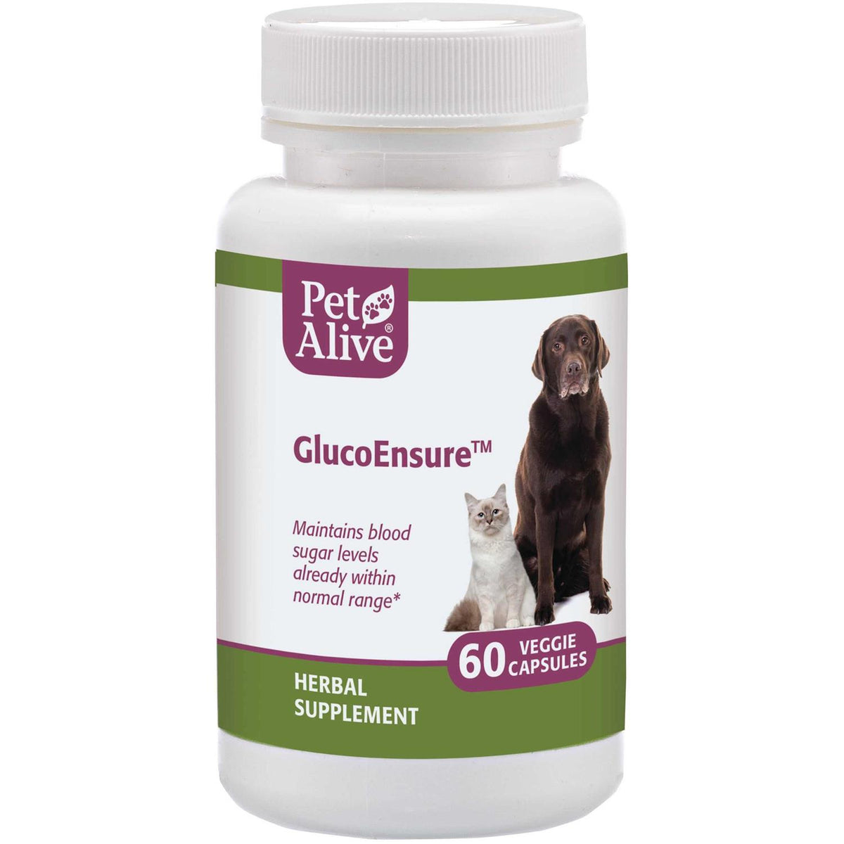 Pet Supplies Y1370