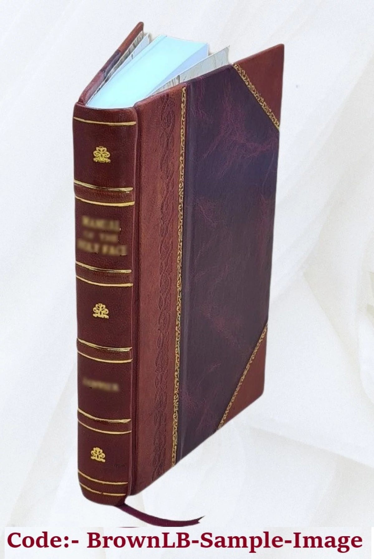 Leather Bound P2890