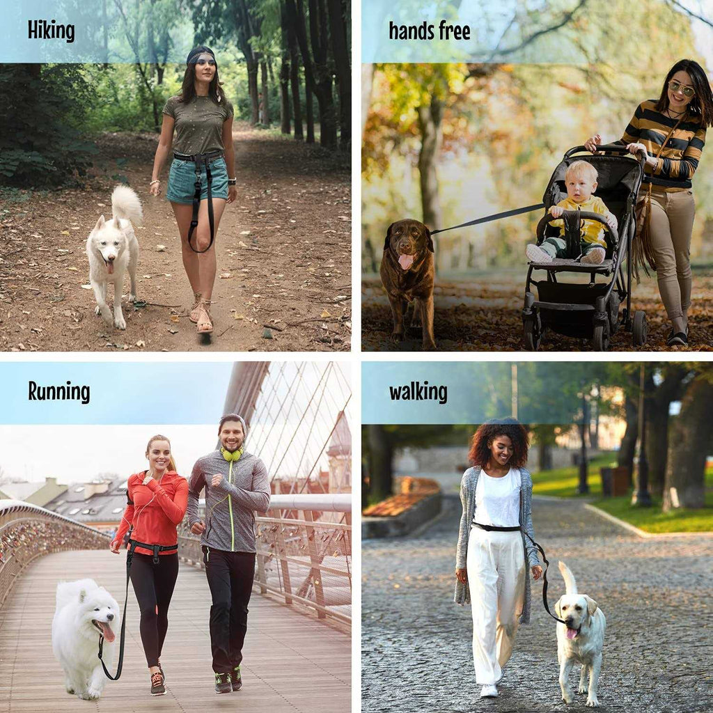 Adjustable Hands Free Dog Leash Q602