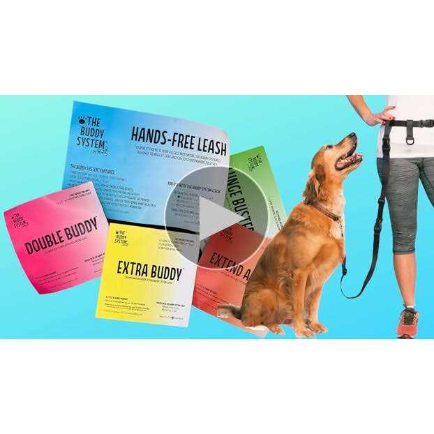 Adjustable Hands Free Dog Leash Q602