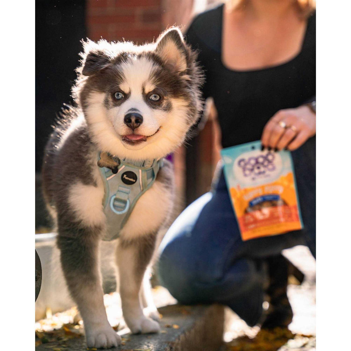 Lamb & Salmon Recipe Puppy Treats F6022
