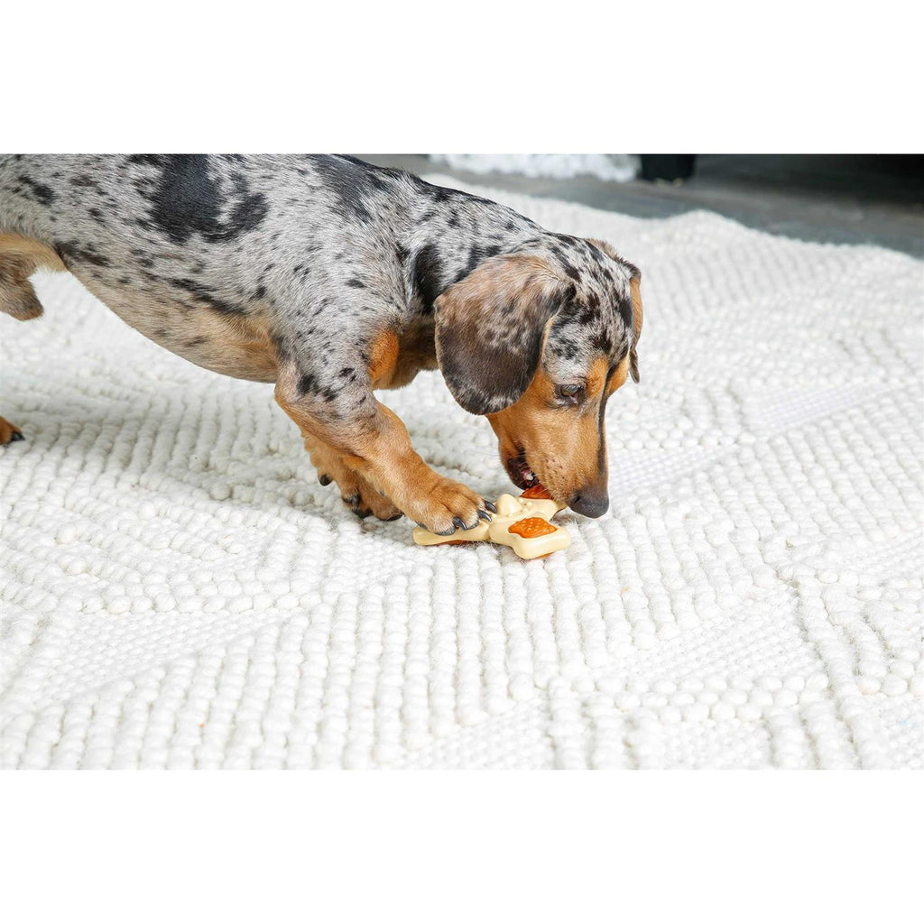 Chew Toy I862205
