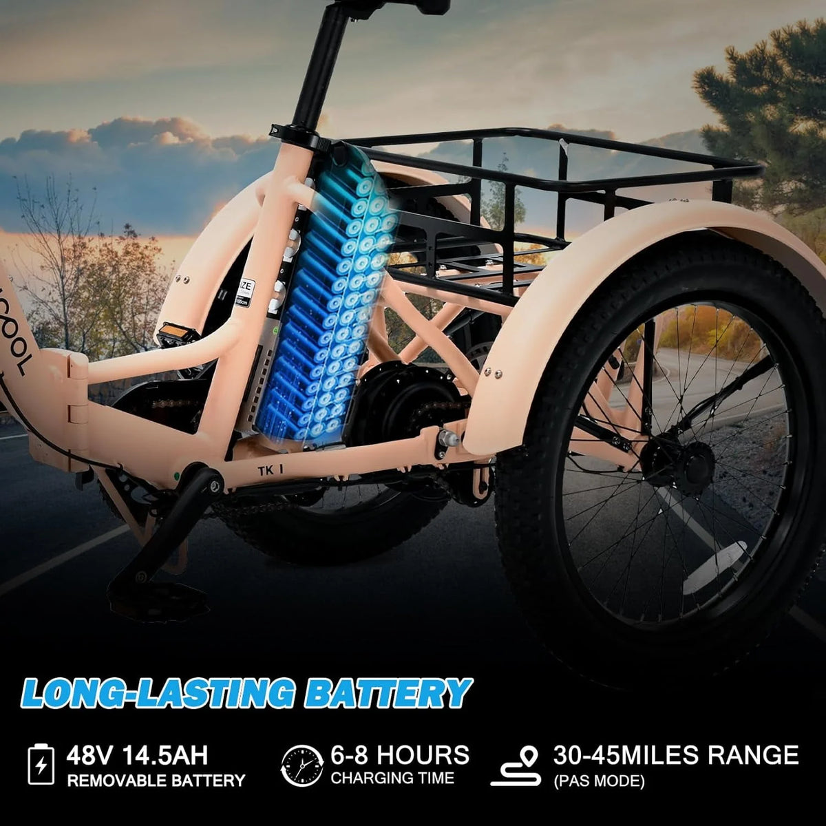 Folding Electric Tricycle 750W Motor 48V 20 Fat Tire 3 Wheel Electric Bicycle A600117