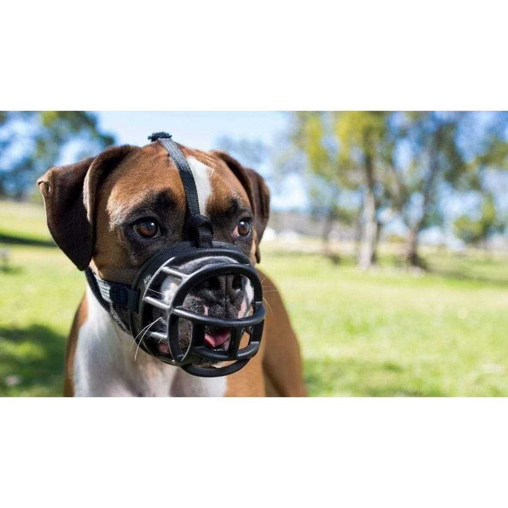 Dog Muzzle H6915