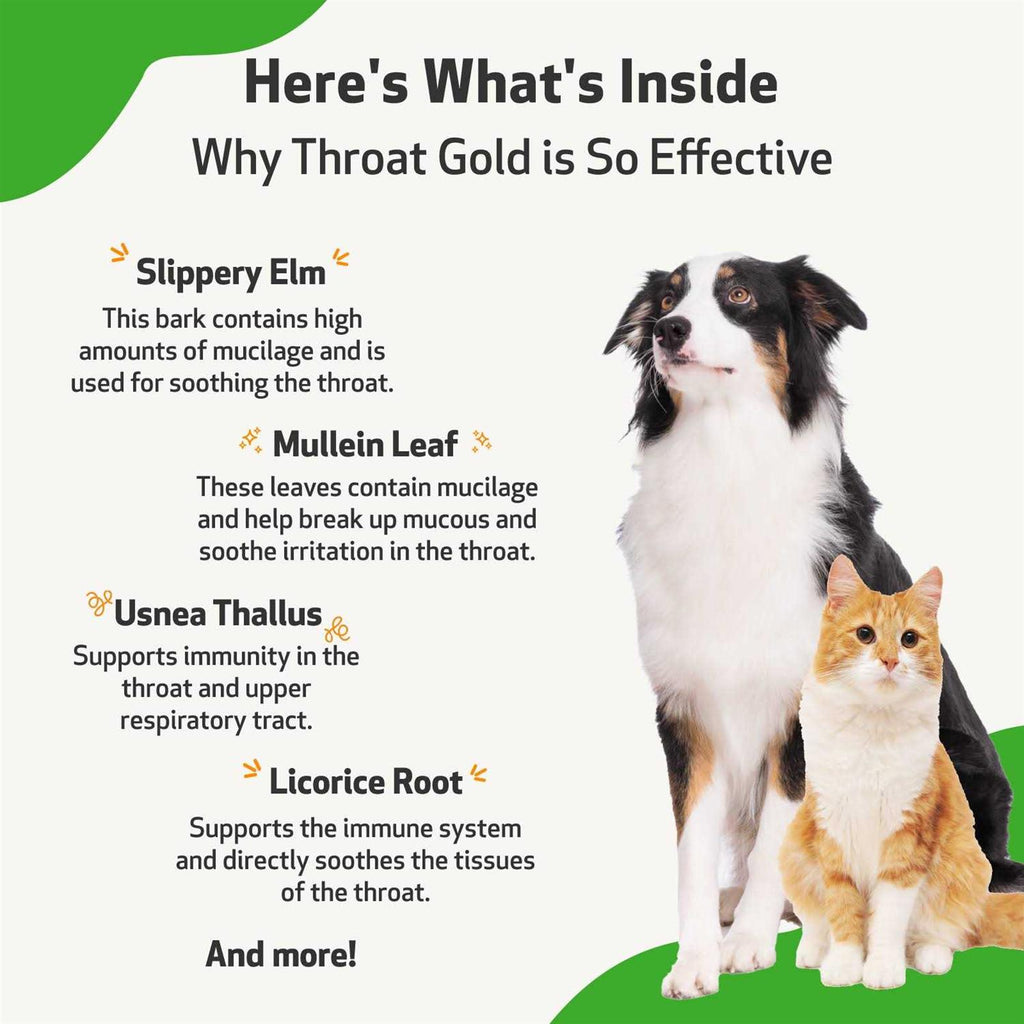 Throat Gold for Dogs M872