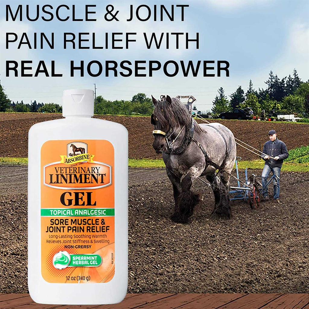 Veterinary Liniment Gel M33886