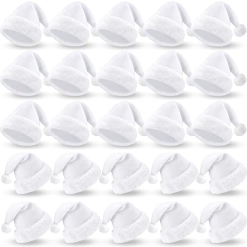 20 Pcs Plush Santa Hats A120