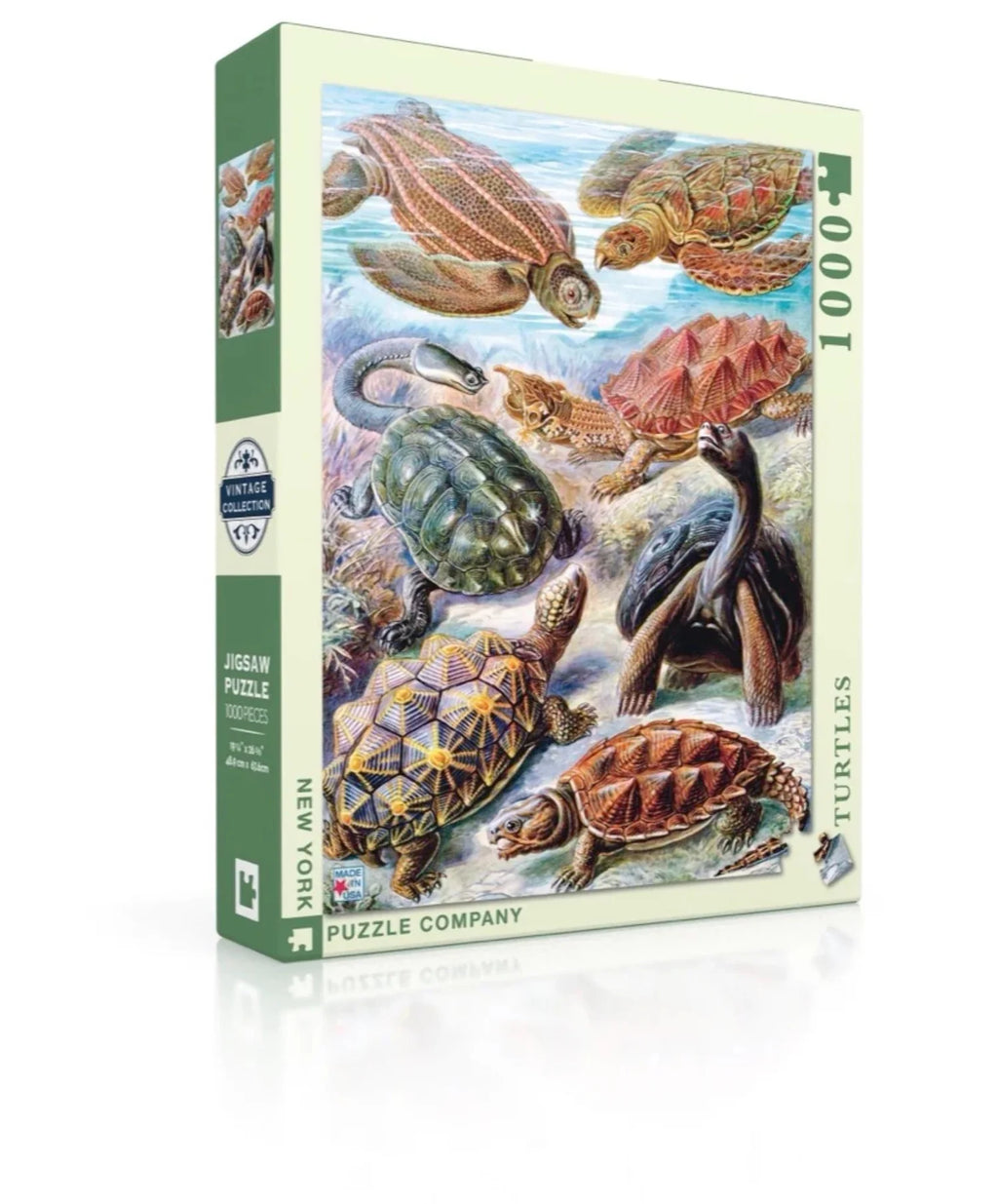 Turtles V9866