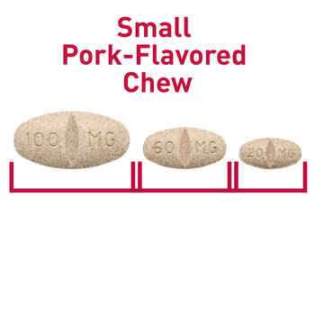Dog Pet Supplies S44742