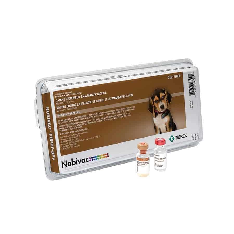 Puppy-DPV I6P3 V427152