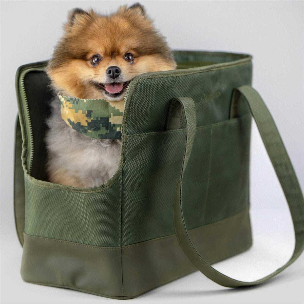 Pet Tote Bag for Small Dogs and Cats W643