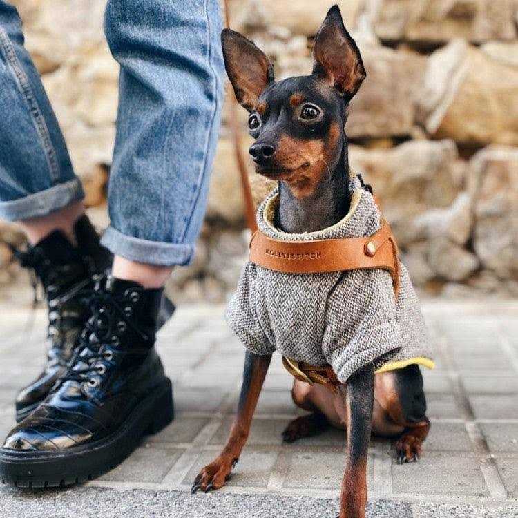 Leather Dog Harness O6896