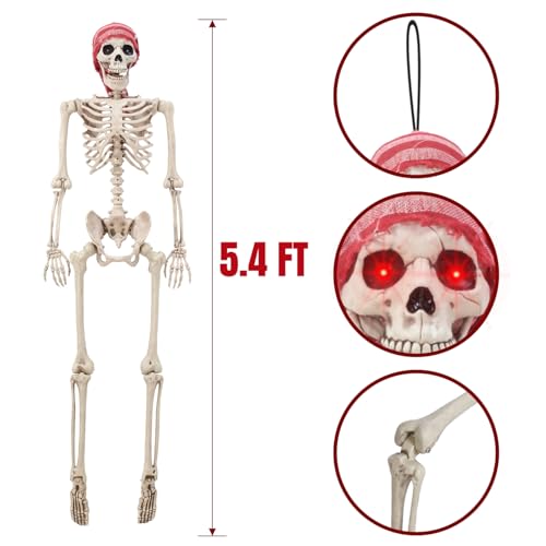 Life Size Skeleton with Glowing Eyes Posable Joints Q6436