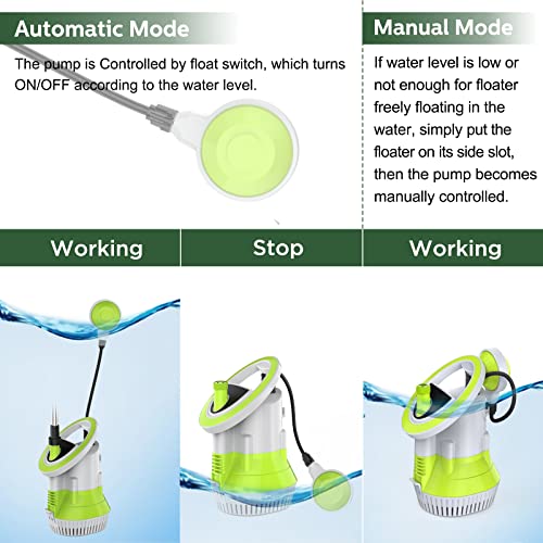 Utility Pump C921