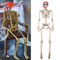 Life Size Skeleton with Glowing Eyes Posable Joints Q6436