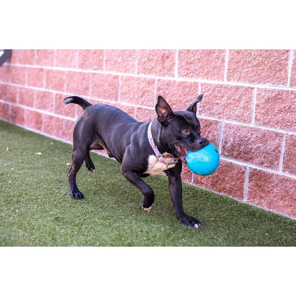 Soccer Ball D83571