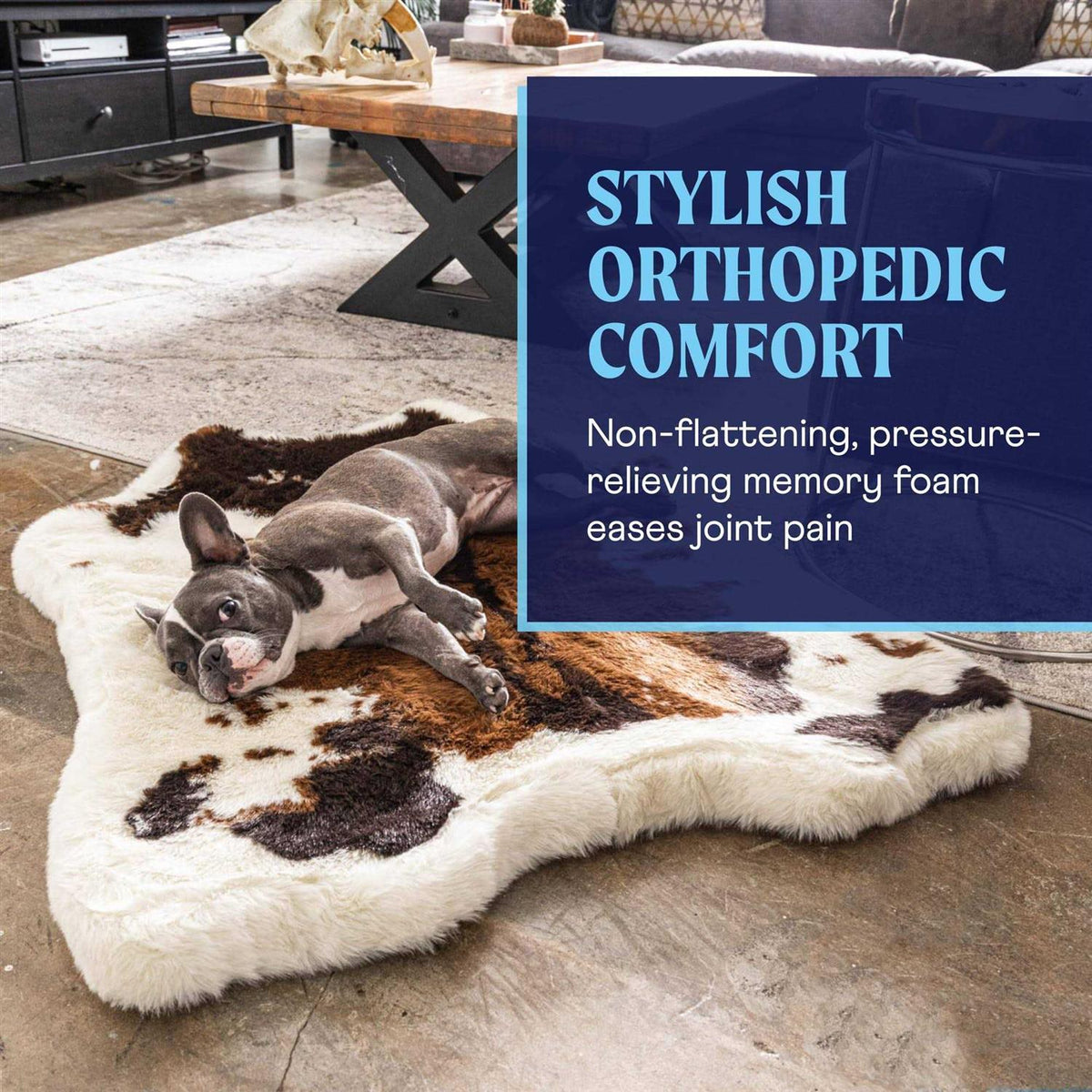 Animal Print Memory Foam Dog Bed D19980