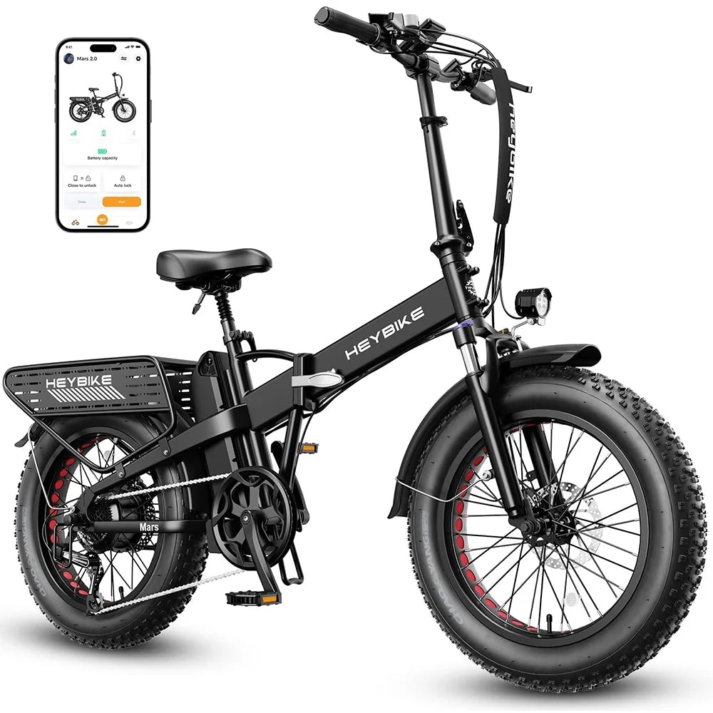 20×4 Fat Tire Folding Electric Bike with 48V 12.5AH Removable Battery D298