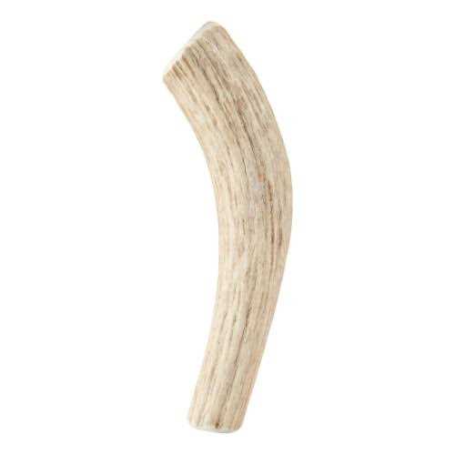 Whole Wild Elk Antler S280462